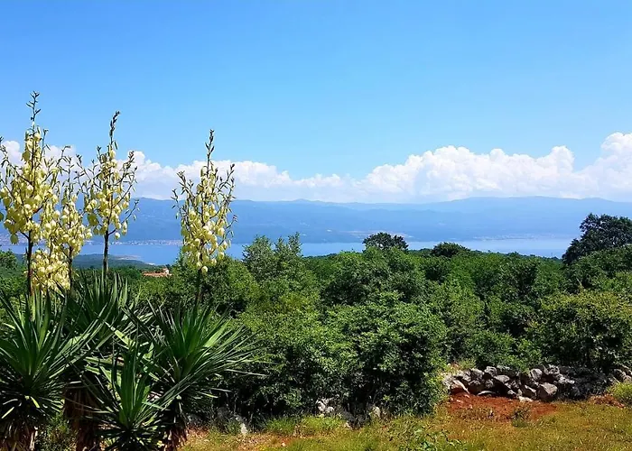 Hilltop Apartament *