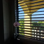 Hilltop Apartament