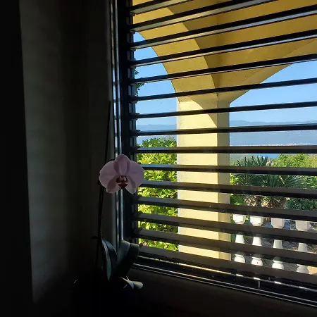 Hilltop Apartman